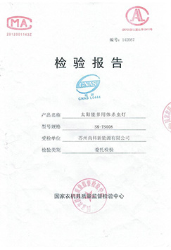 水淹式国产麻豆精品精东影业AV网站检测报告TS008