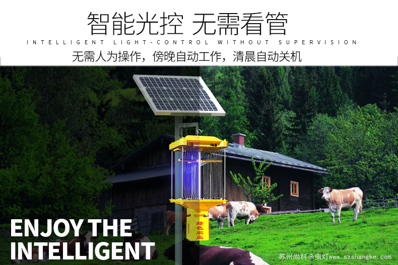 国产麻豆精品精东影业AV网站晚上是自动诱虫杀虫吗