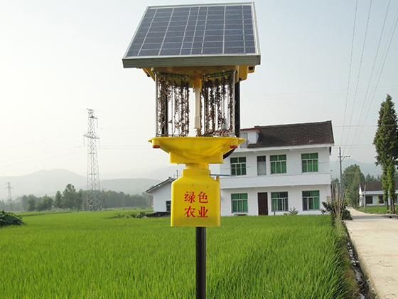 农用杀虫灯如何清理？听杀虫灯厂家的建议没错