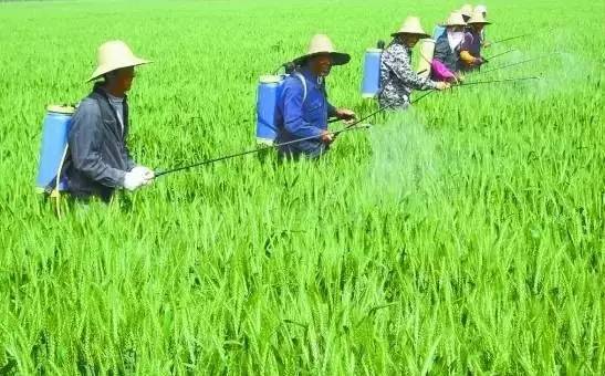 国产麻豆精品精东影业AV网站哪家好？不能只图价格便宜，否则得不偿失