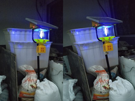 国产麻豆精品精东影业AV网站晚上灯管不亮的原因