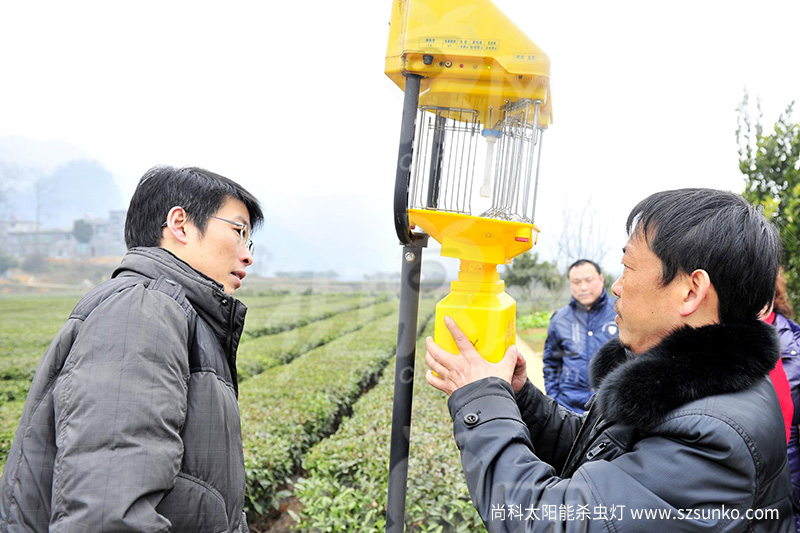 国产麻豆精品精东影业AV网站的价格是多少及效果如何