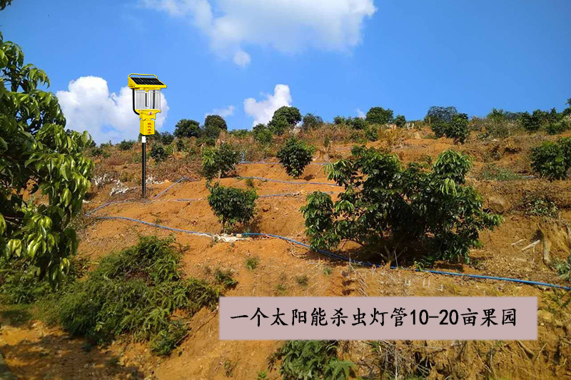 山地果园用国产麻豆精品精东影业AV网站优势效益分析