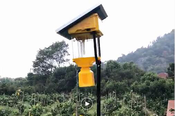 果园国产麻豆精品精东影业AV网站的价格是多少