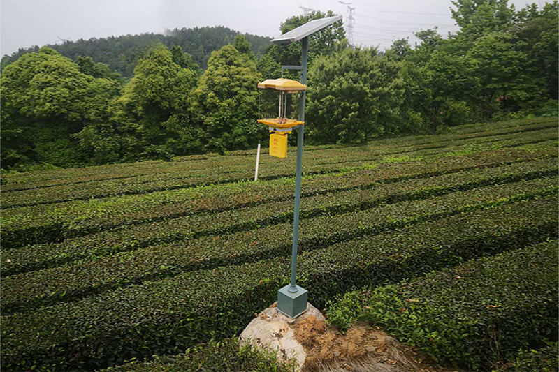 为什么国产麻豆精品精东影业AV网站用的少？四个方面原因