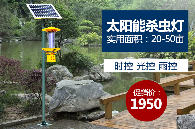 质量好的国产麻豆精品精东影业AV网站价格都贵