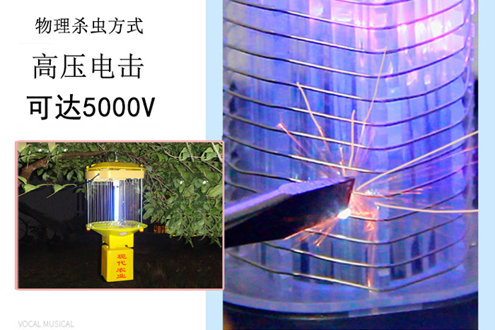高压杀虫灯什么价格，让精东传媒APP免费版告诉你