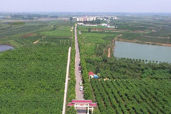 合肥果园用国产麻豆精品精东影业AV网站批量采购多少钱