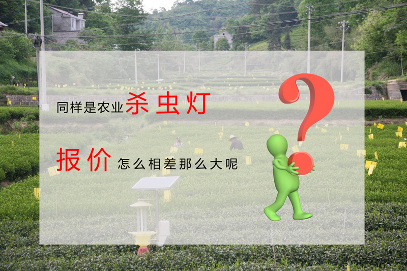 影响国产麻豆精品精东影业AV网站报价的因素