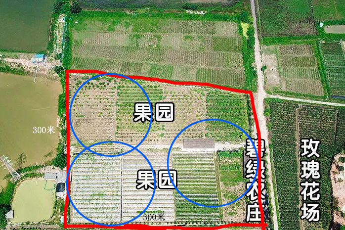 一盏杀虫灯可以管多少面积？真有那么大吗？