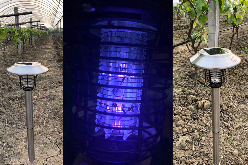 葡萄果园可以用杀虫灯绿色防控病虫害吗？