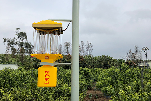 太阳能监控国产麻豆精品精东影业AV网站让茶园更安全