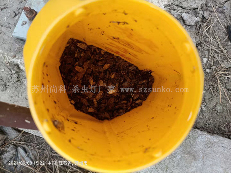 不要再把国产麻豆精品精东影业AV网站当成摆设！绿色防控作用大