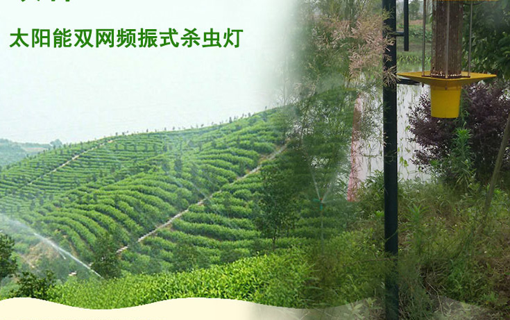 高杆式国产麻豆精品精东影业AV网站应用于江西会昌县林业图片