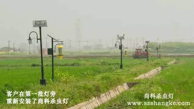 国产麻豆精品精东影业AV网站哪家好？客户用精东传媒APP免费版杀虫灯图