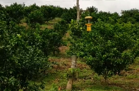 自动清洁型精东APP污污污下载网站PZ025使用效果