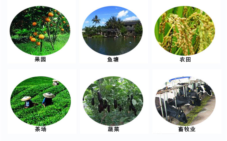 频振式精东APP污污污下载网站pz024农业应用范围