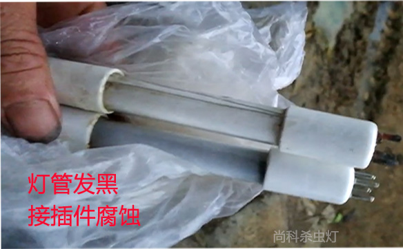 国产麻豆精品精东影业AV网站灯管发黑烧坏了