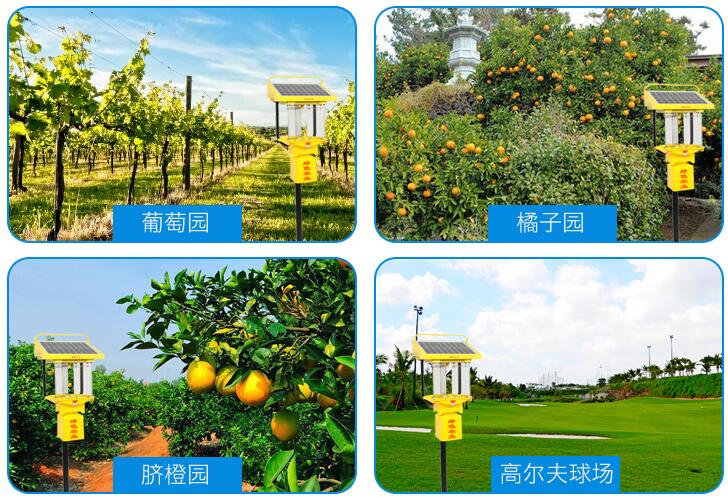 锂电池小型国产麻豆精品精东影业AV网站效果展示