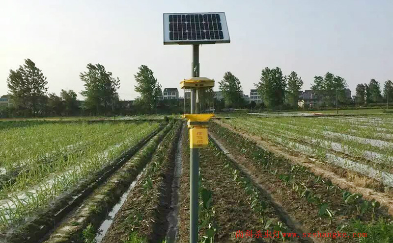 济宁蔬菜种植园菜地国产麻豆精品精东影业AV网站
