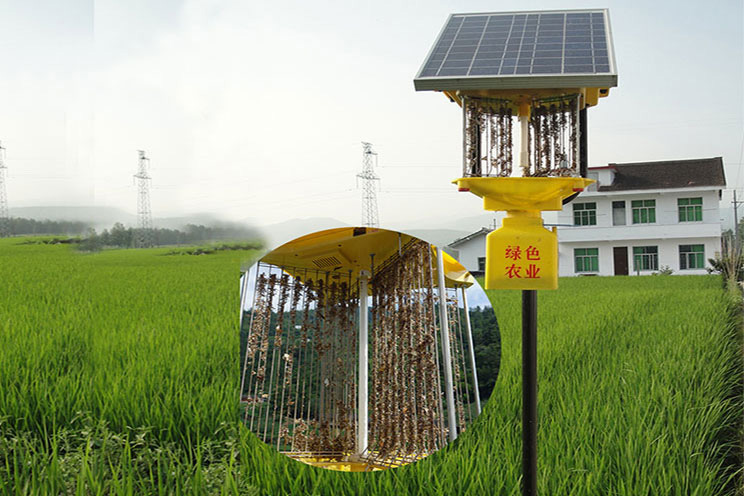 太阳能精东APP污下载安装到手机效果实拍
