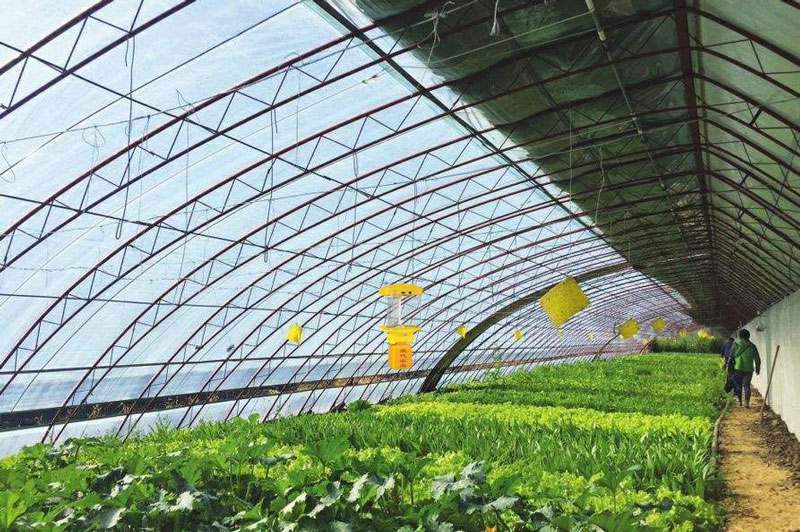 大棚精东APP污污污下载网站应用效果 大棚精东APP污污污下载网站应用效果