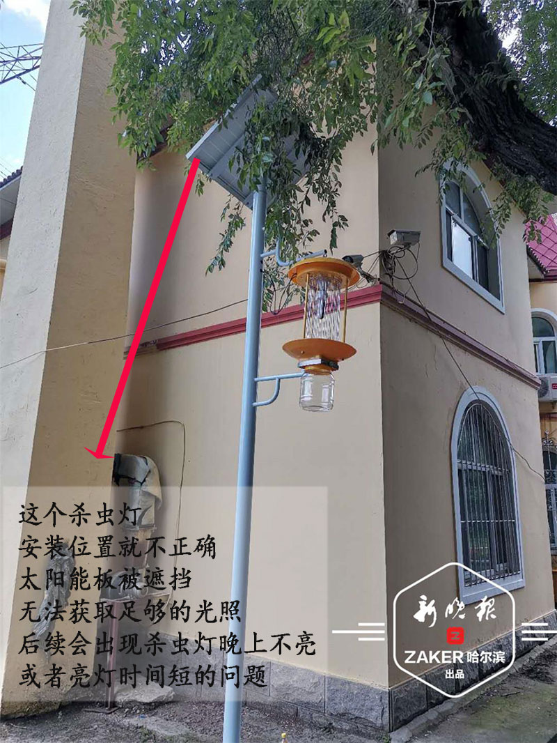 哈尔滨园林公园安装国产麻豆精品精东影业AV网站