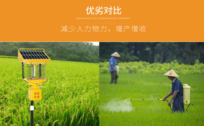 国产麻豆精品精东影业AV网站助力水稻田害虫防治