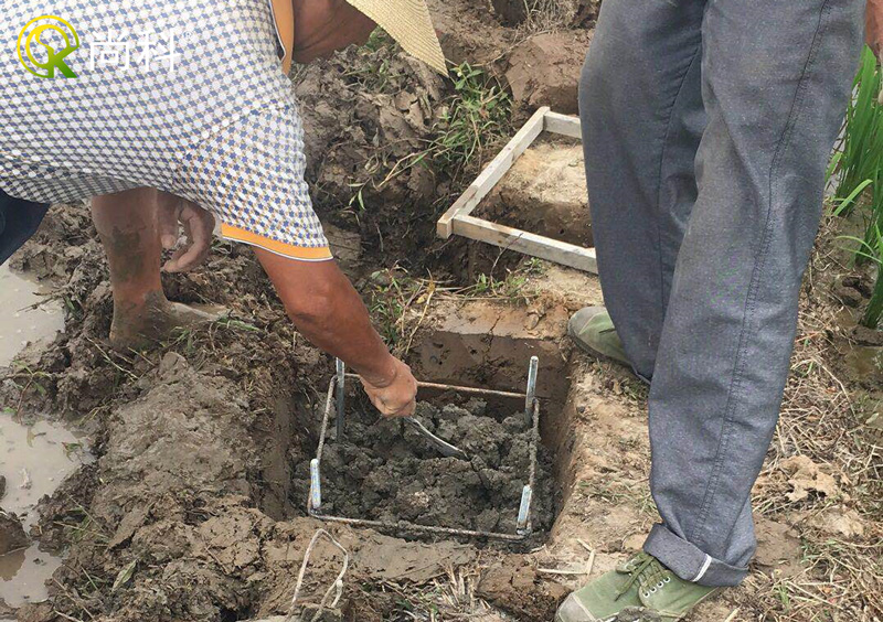 立杆国产麻豆精品精东影业AV网站地基地笼安装-放置地笼
