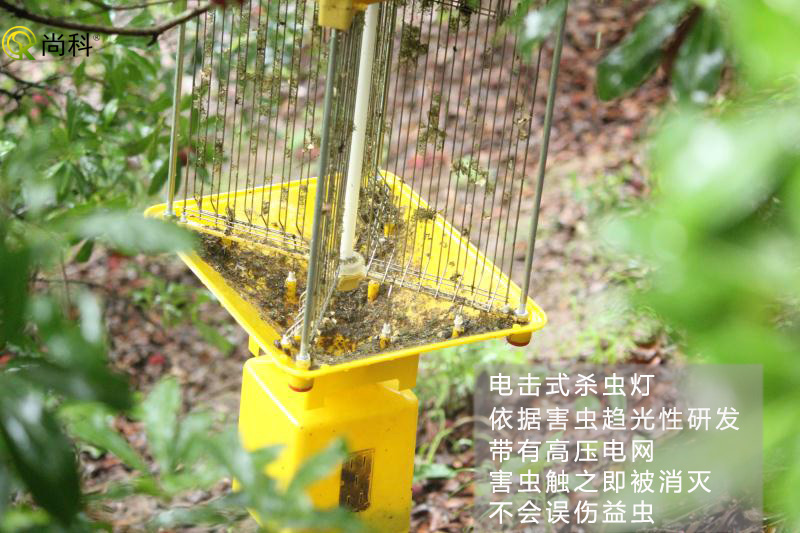 果园杀虫灯哪种好？电击式果园杀虫灯效果好