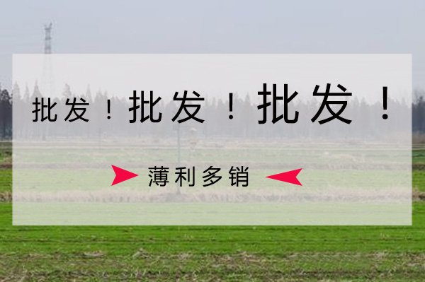 国产麻豆精品精东影业AV网站批发价格要比零售价格低