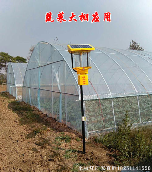 山东太阳能农田杀虫灯实拍，田间杀虫灯图片