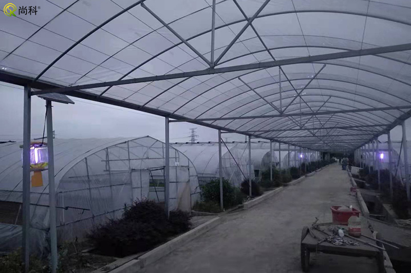 蔬菜种植基地国产麻豆精品精东影业AV网站