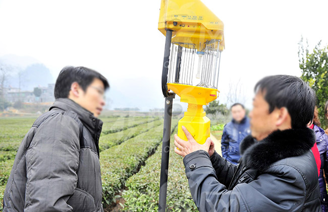 怎么挑选国产麻豆精品精东影业AV网站