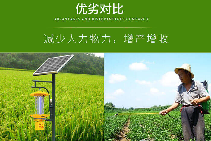 国产麻豆精品精东影业AV网站有哪些优点和缺点
